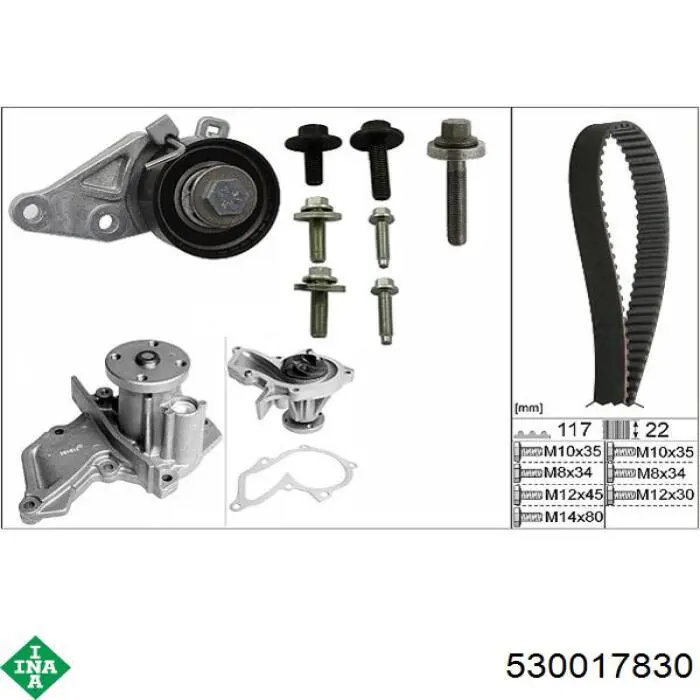 Купить 530017830 INA Комплект ГРМ
