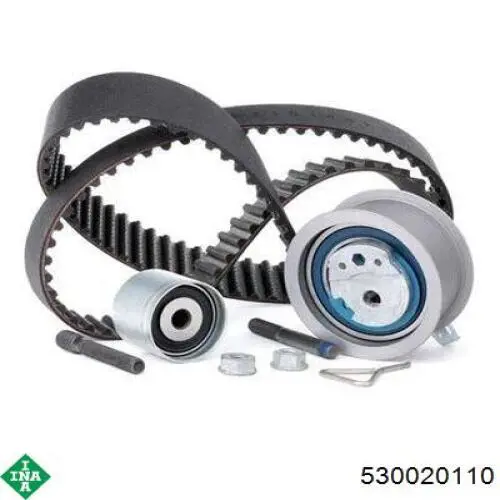 530020110 INA Комплект ремня ГРМ