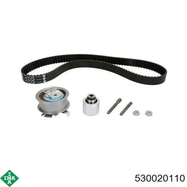 Комплект ГРМ 530020110 INA
