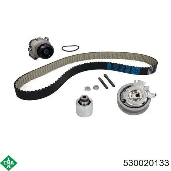 Купить 530020133 INA Комплект ГРМ