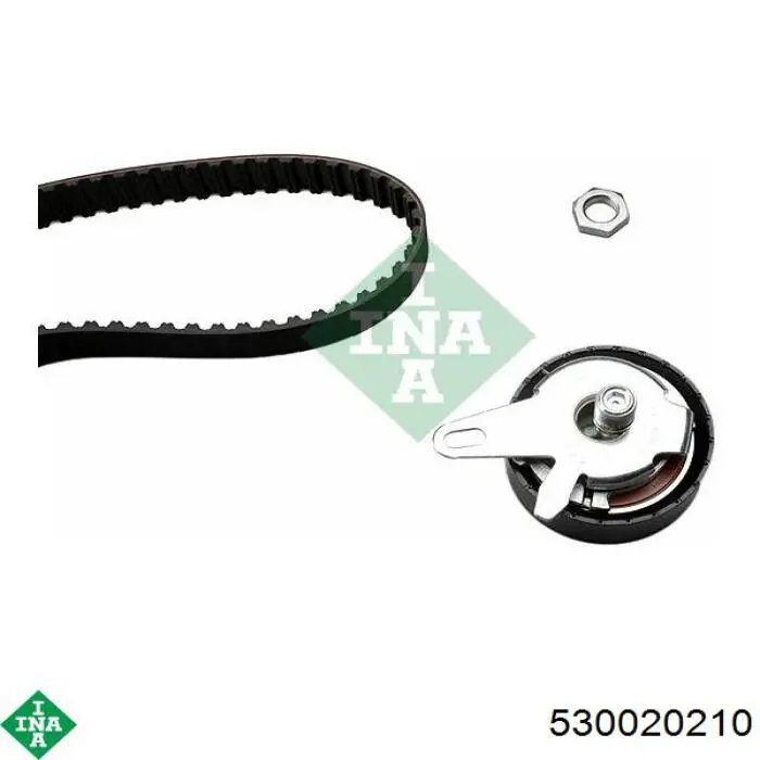 530020210 INA
