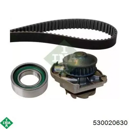 Комплект ГРМ 530020630 INA
