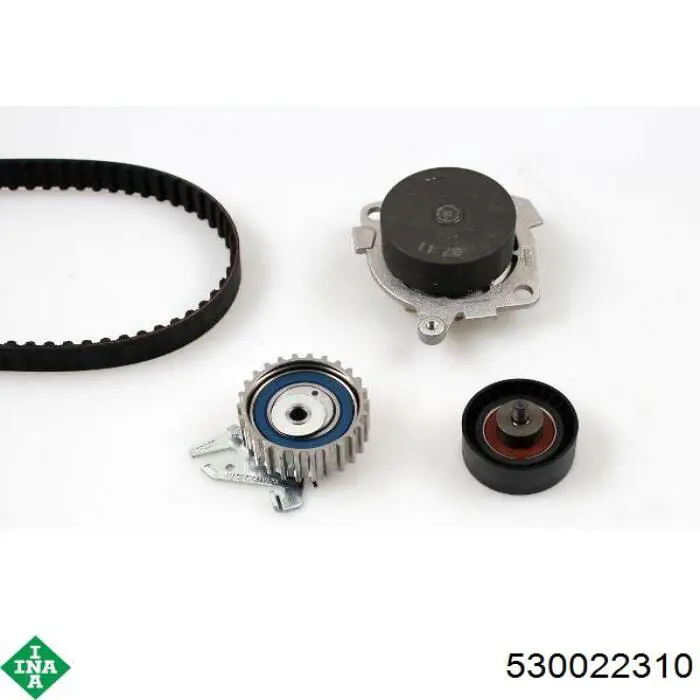 Комплект ГРМ 530022310 INA