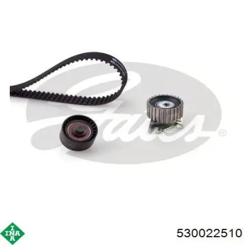 Купить 530022510 INA Комплект ГРМ