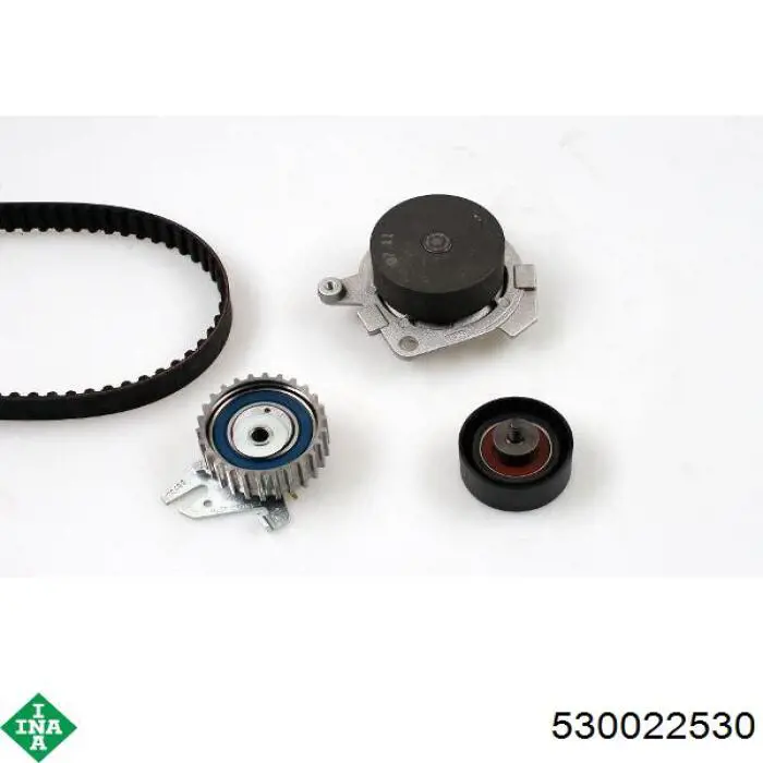 Комплект ГРМ 530022530 INA