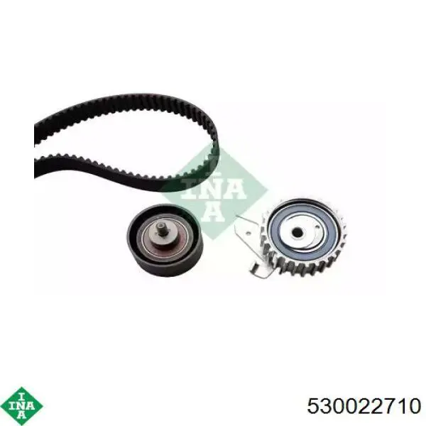 Комплект ГРМ 530022710 INA