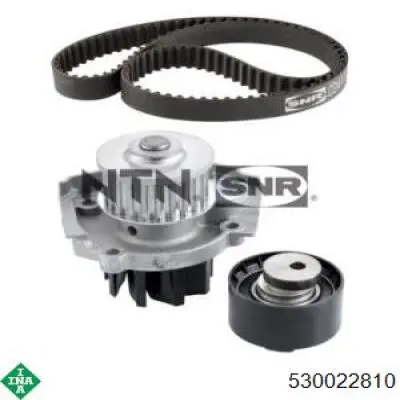 Комплект ГРМ 530022810 INA