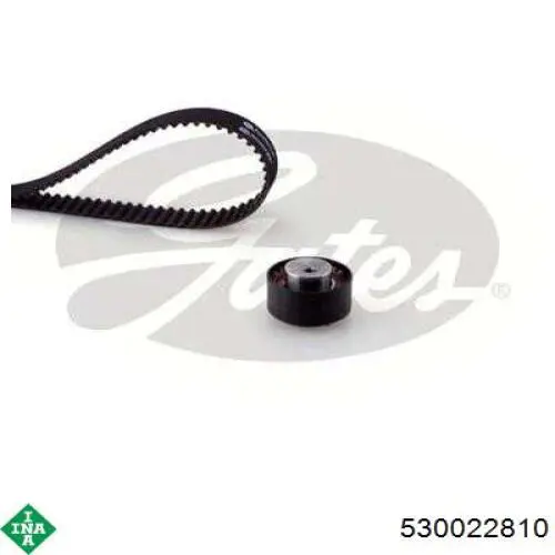 ГРМ ремни, комплект INA 530022810 цена, от 49.75 USD