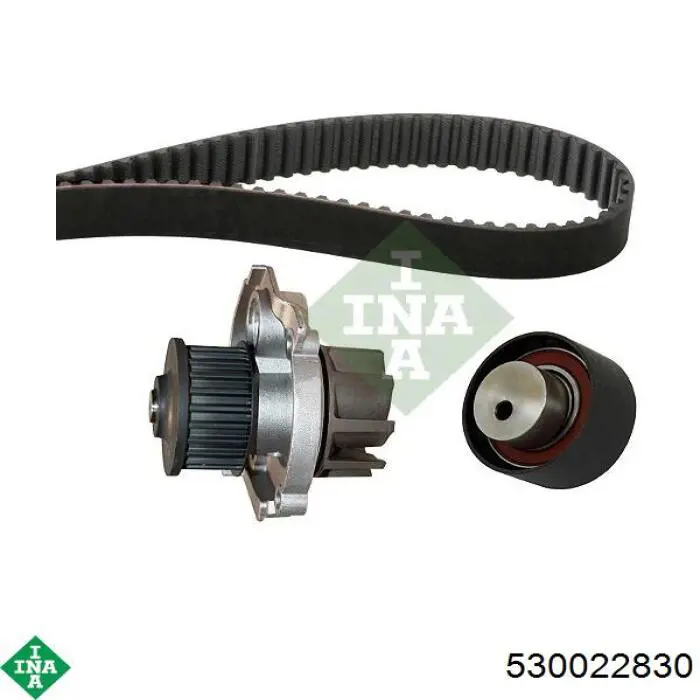 Комплект ГРМ 530022830 INA