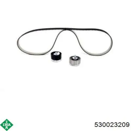Комплект ГРМ 530023209 INA