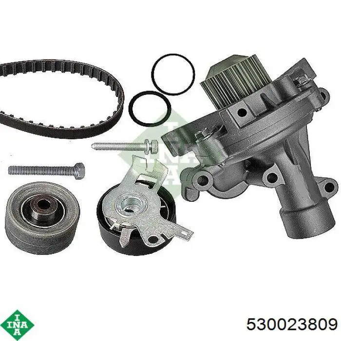 Комплект ГРМ 530023809 INA