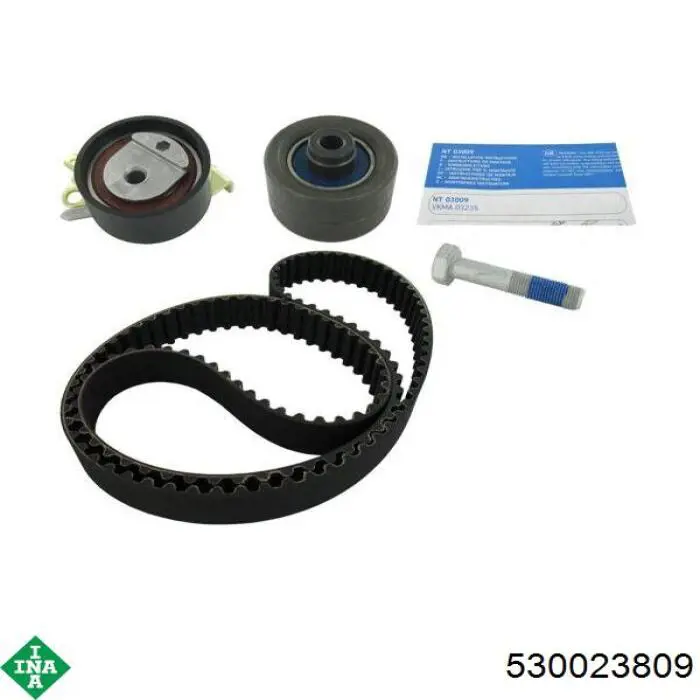 Купить 530023809 INA Комплект ГРМ