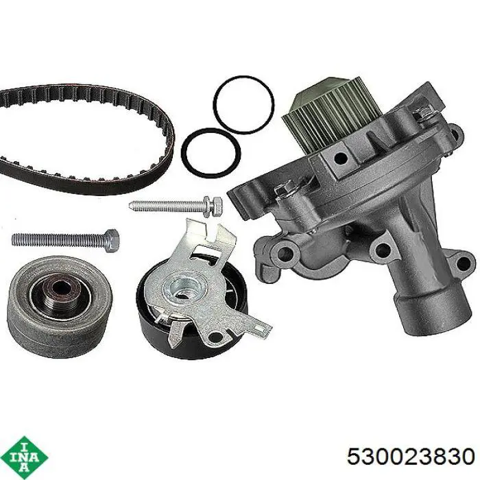 Комплект ГРМ 530023830 INA