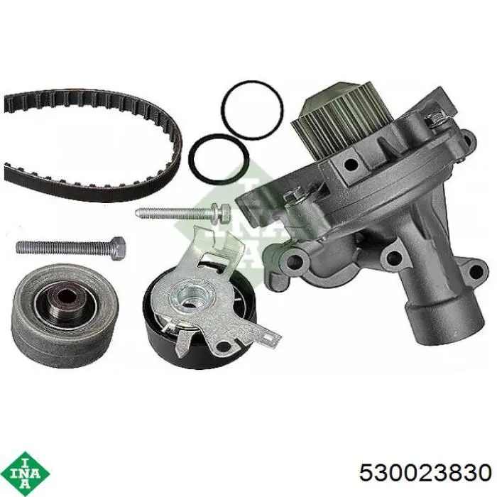 Купить 530023830 INA Комплект ГРМ