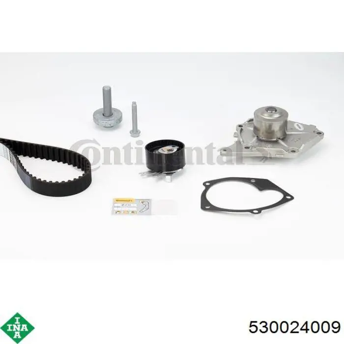  530024009 INA