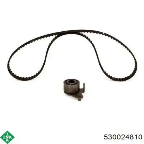 Купить 530024810 INA Комплект ГРМ