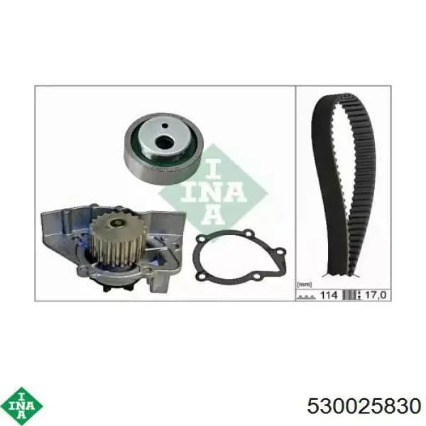 Купить 530025830 INA Комплект ГРМ