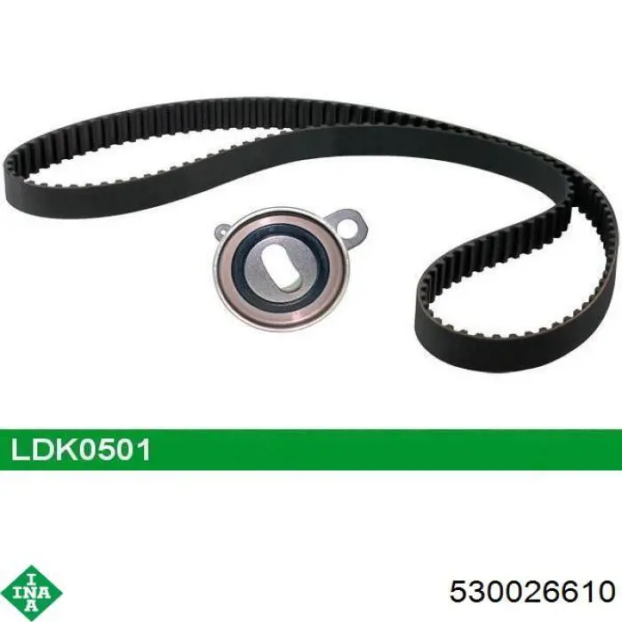Комплект ГРМ 530026610 INA