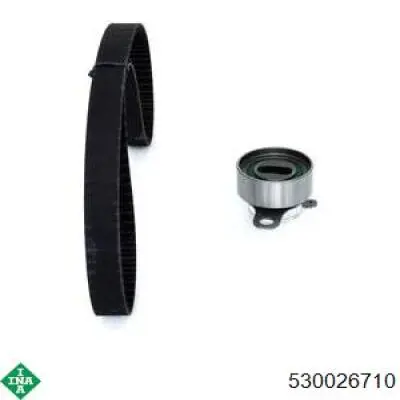 Комплект ГРМ 530026710 INA