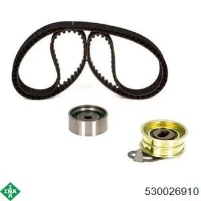 Купить 530026910 INA Комплект ГРМ