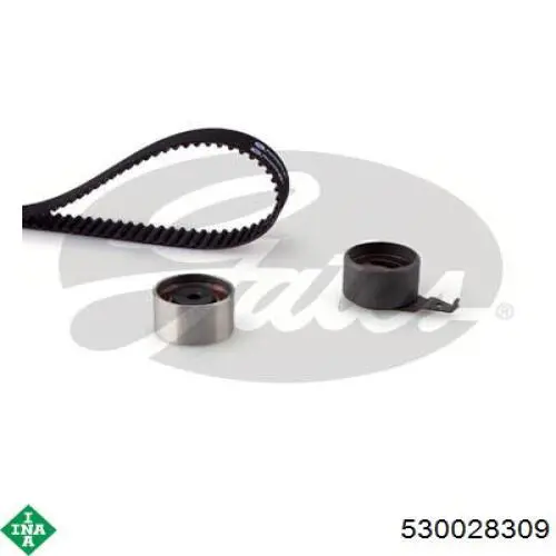 Комплект ГРМ 530028309 INA