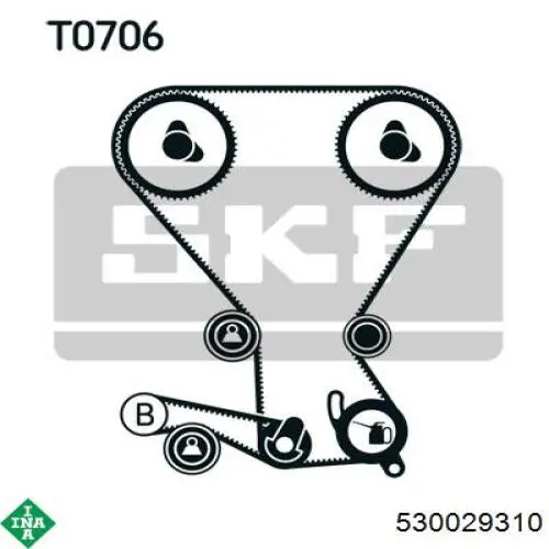 Купить 530029310 INA Комплект ГРМ