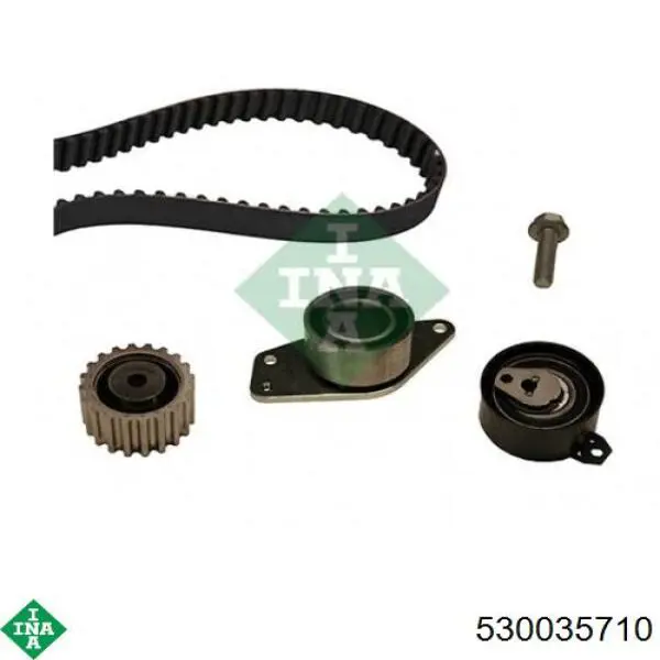 Комплект ГРМ 8660001604 Renault (RVI)