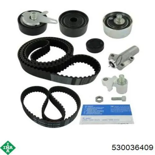 Купить 530036409 INA Комплект ГРМ