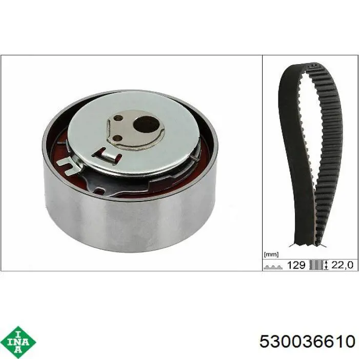 Купить 530036610 INA Комплект ГРМ
