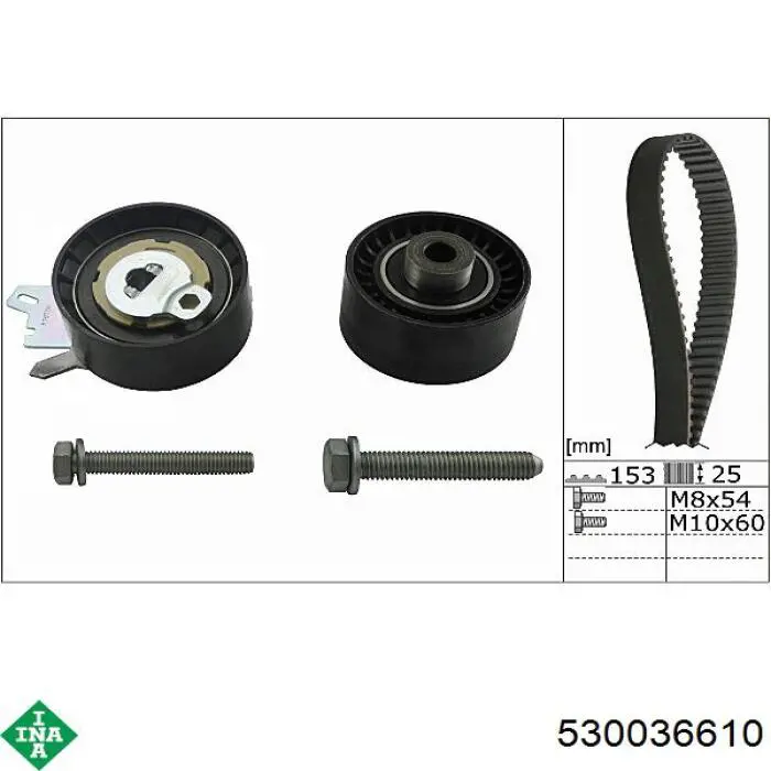Комплект ГРМ 530036610 INA