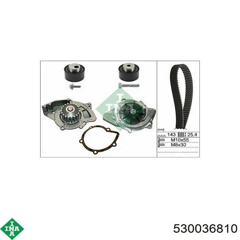 Комплект ГРМ 530036810 INA