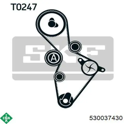 Купить 530037430 INA Комплект ГРМ