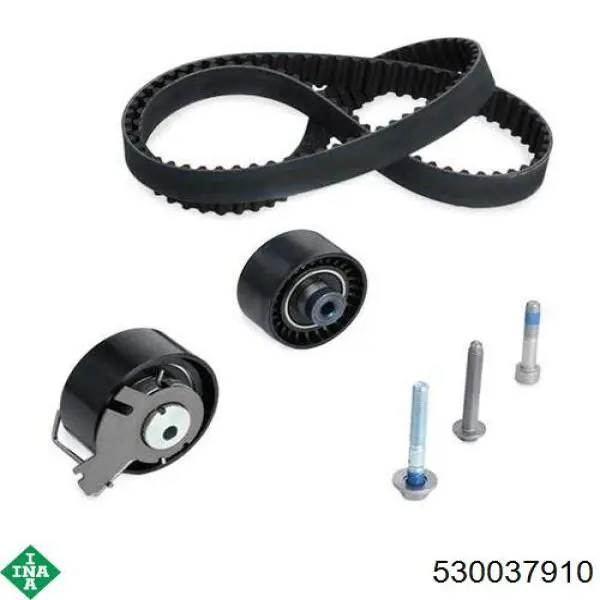 Комплект ГРМ 530037910 INA