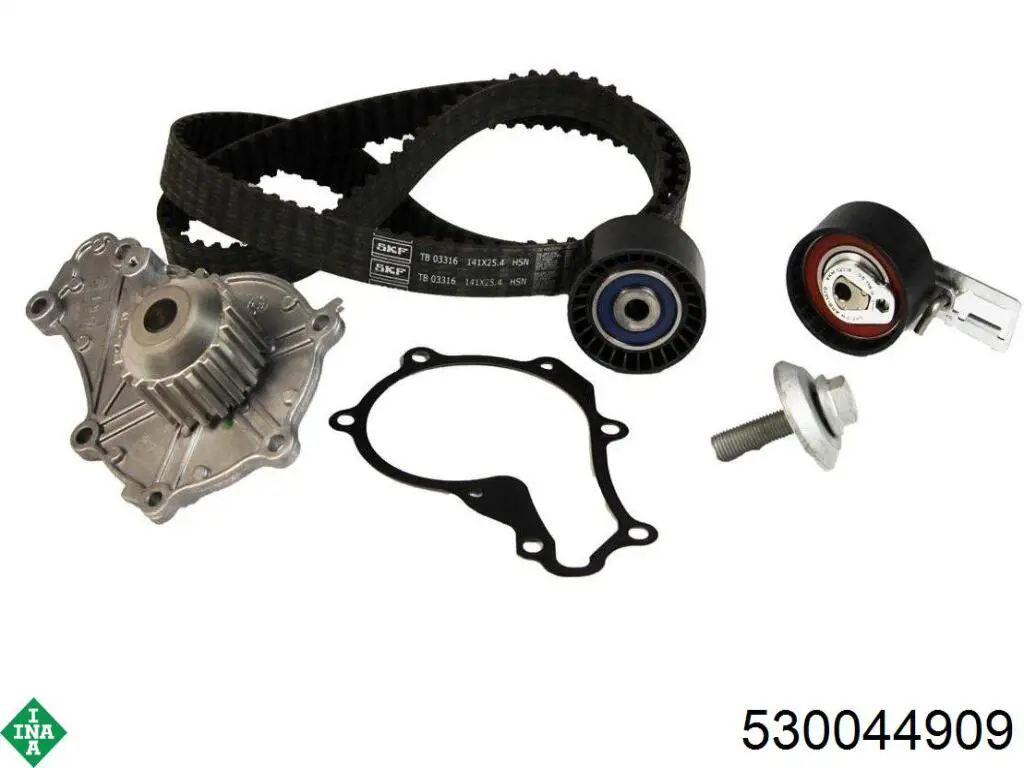Комплект ГРМ 530044909 INA
