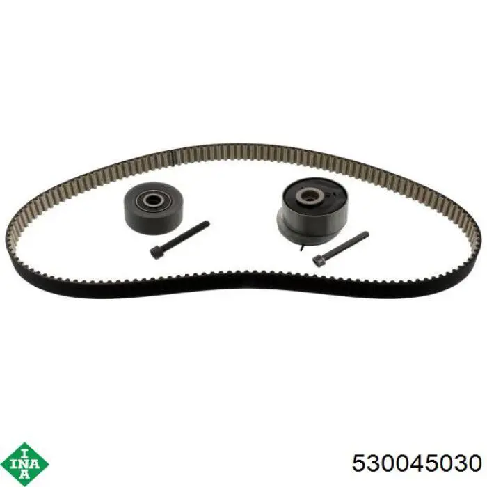 Купить 530045030 INA Комплект ГРМ