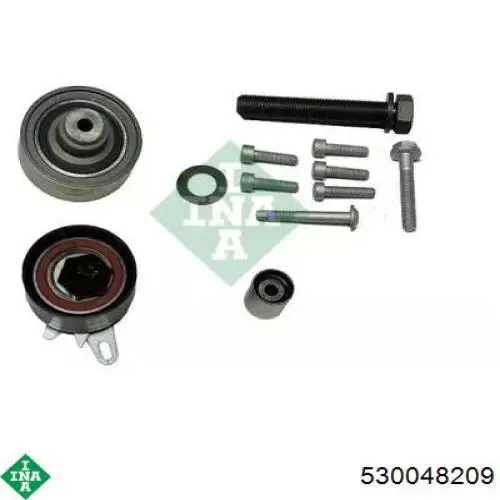 Комплект ГРМ 530048209 INA