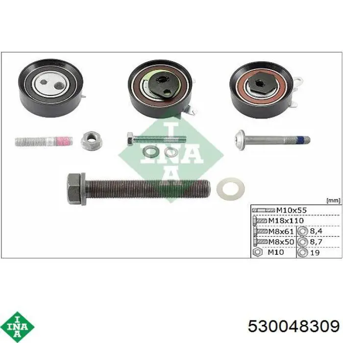 Комплект ГРМ 530048309 INA