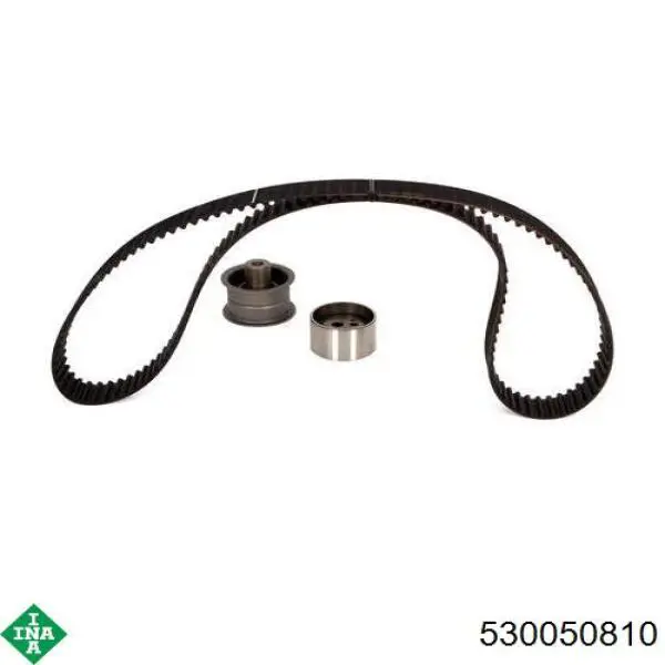 Купить 530050810 INA Комплект ГРМ