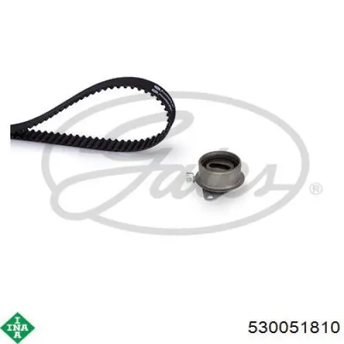 Купить 530051810 INA Комплект ГРМ