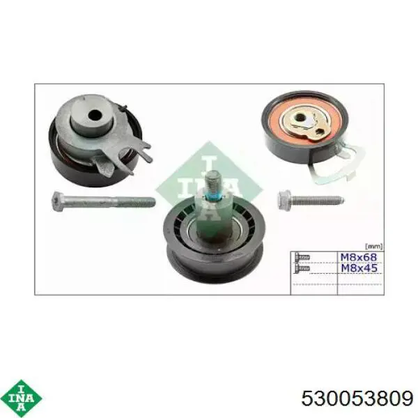 Комплект ГРМ 530053809 INA