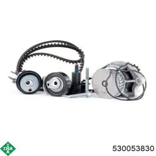 Купить 530053830 INA Комплект ГРМ