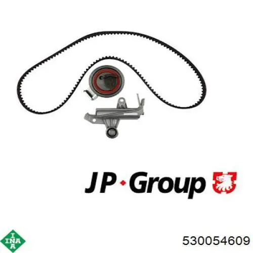 Купить 530054609 INA Комплект ГРМ