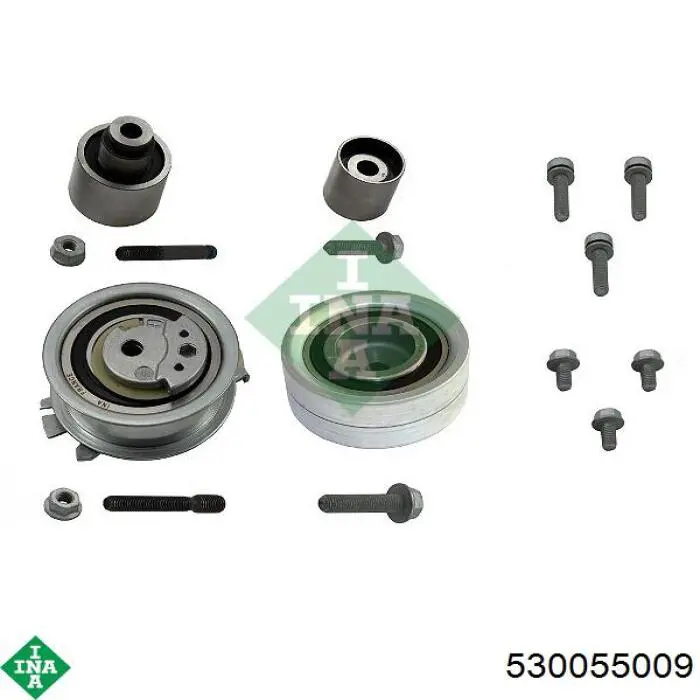 530055009 INA
