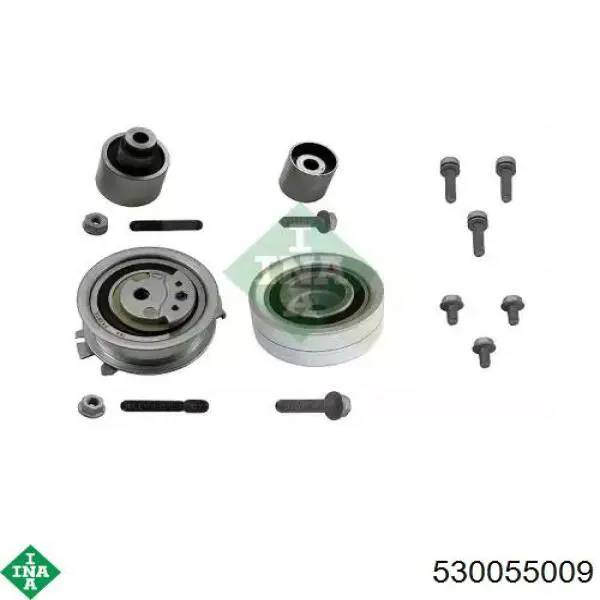 530055009 INA