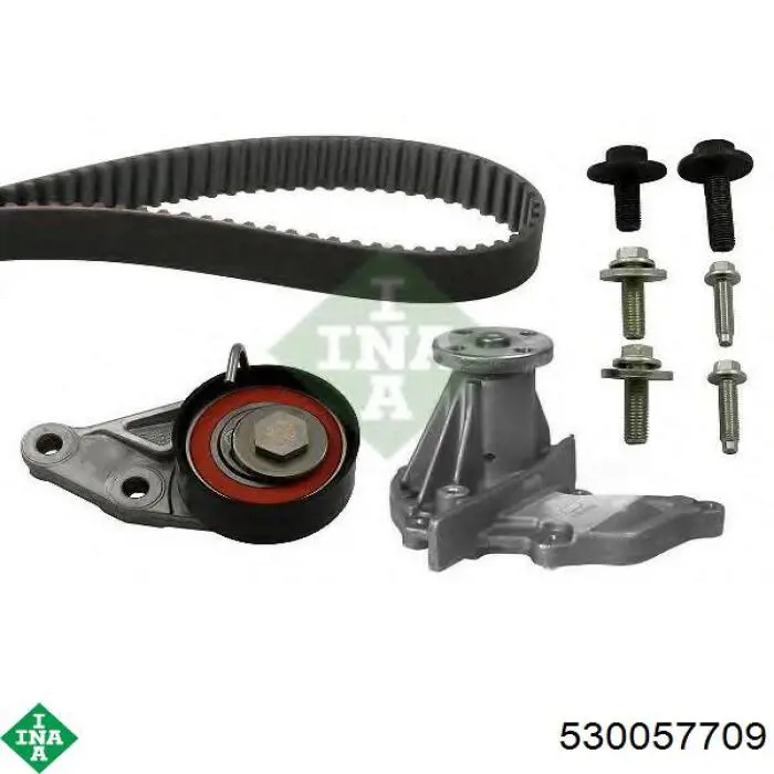 Комплект ГРМ 530057709 INA