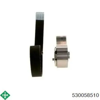 Купить 530058510 INA Комплект ГРМ