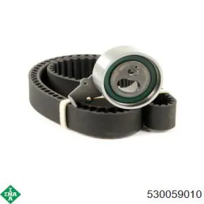 Купить 530059010 INA Комплект ГРМ