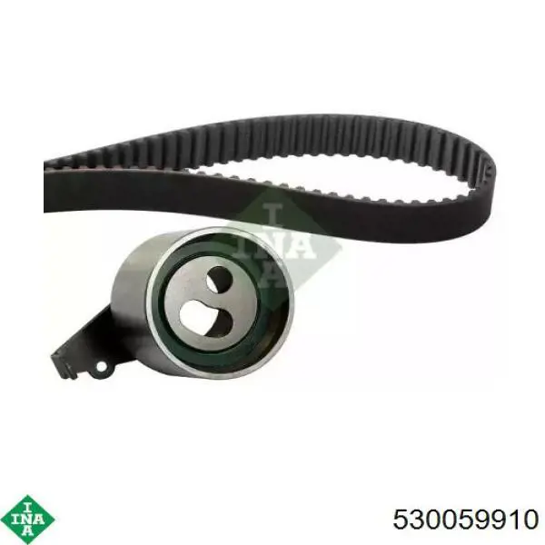 Комплект ГРМ 530059910 INA