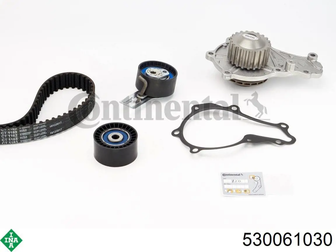Купить 530061030 INA Комплект ГРМ