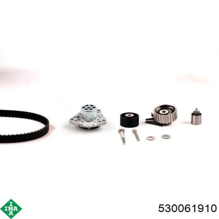 Купить 530061910 INA Комплект ГРМ